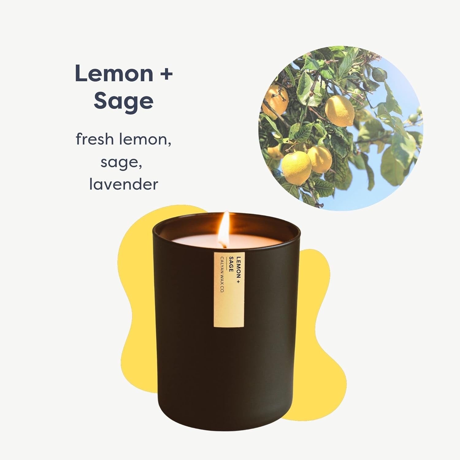 Passionfruit & Ginger Scented Soy Candle – 10.2oz Vegan, Non-Toxic Aromatherapy Candle in Black Tumbler